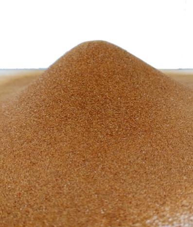 Rosehip flour 100 microns - Organic product 